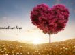 50 quotes about love