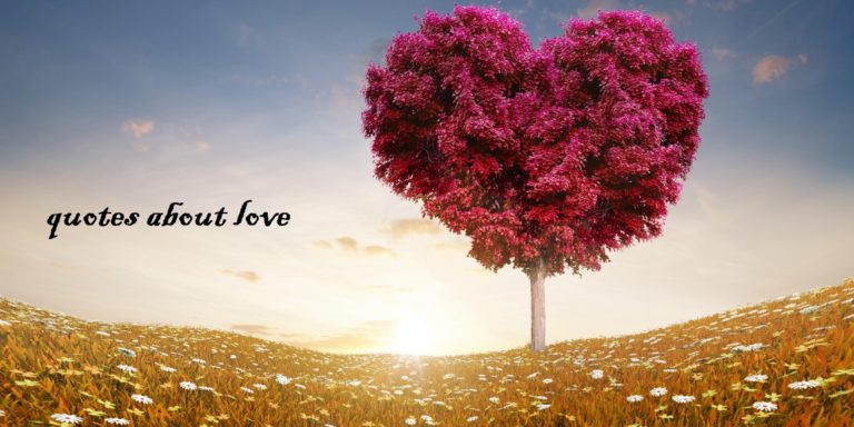 50 quotes about love