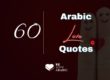 60 Arabic love quotes