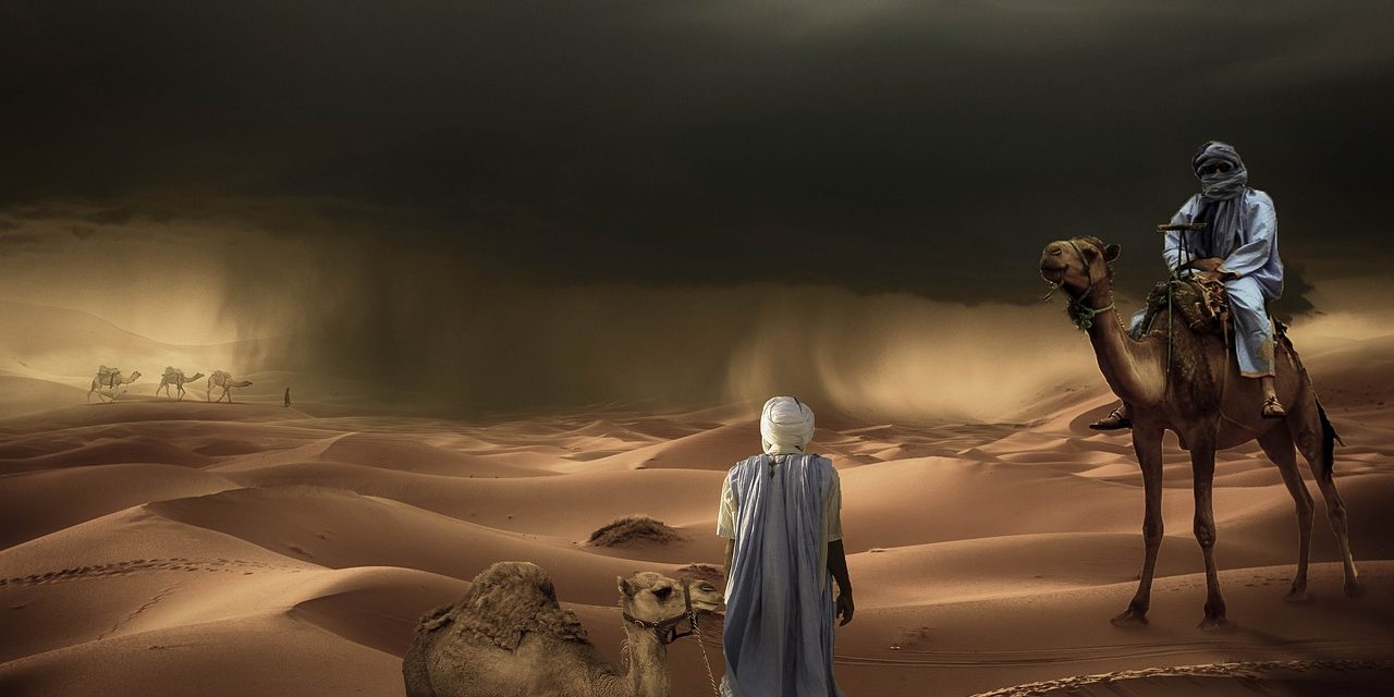 Ali in Arabic and its fantastic meanings