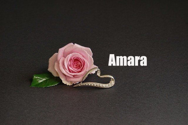 Amara Name Meaning