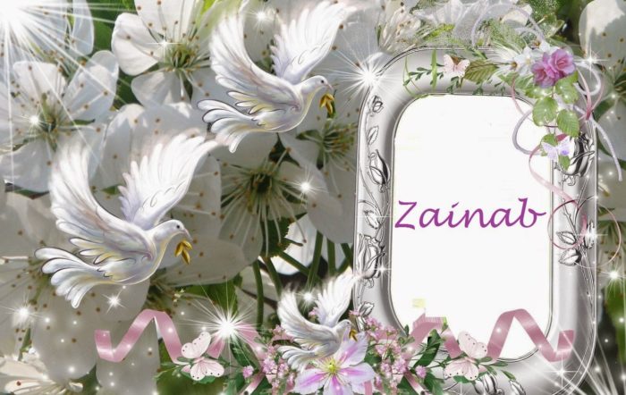 Best of zainab name meanings