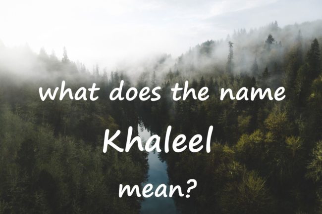 what does the name Khaleel mean