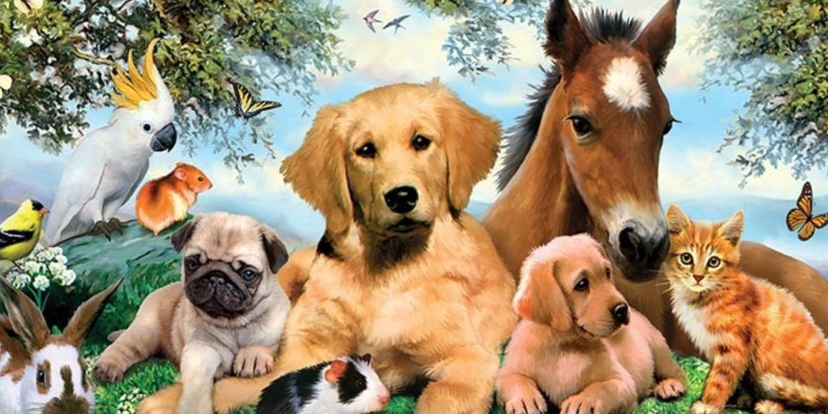 Pet names in Arabic Pet names in Arabic